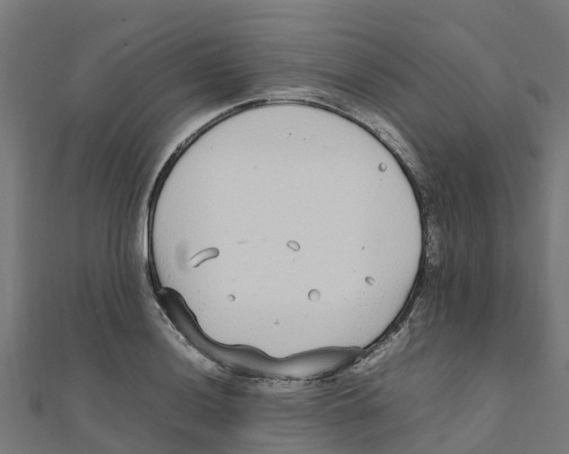 X0000111251036200907301323