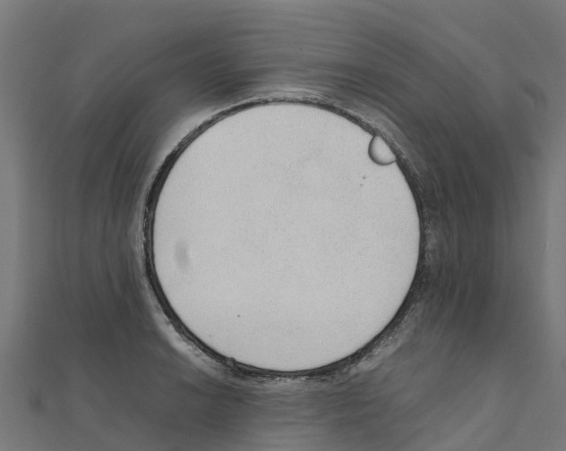 X0000111251038200907301323