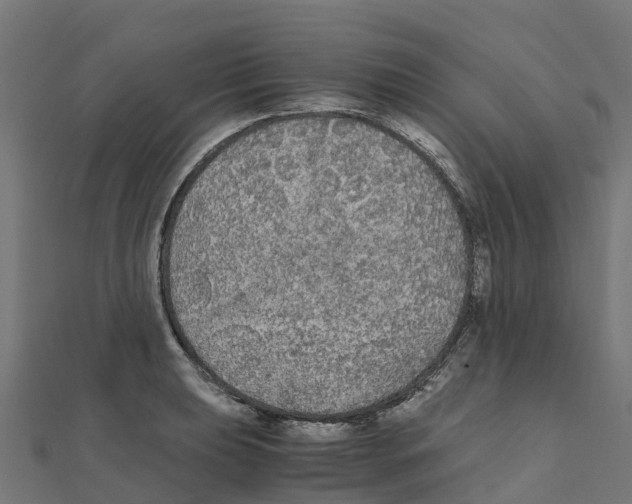 X0000111251039200907301323