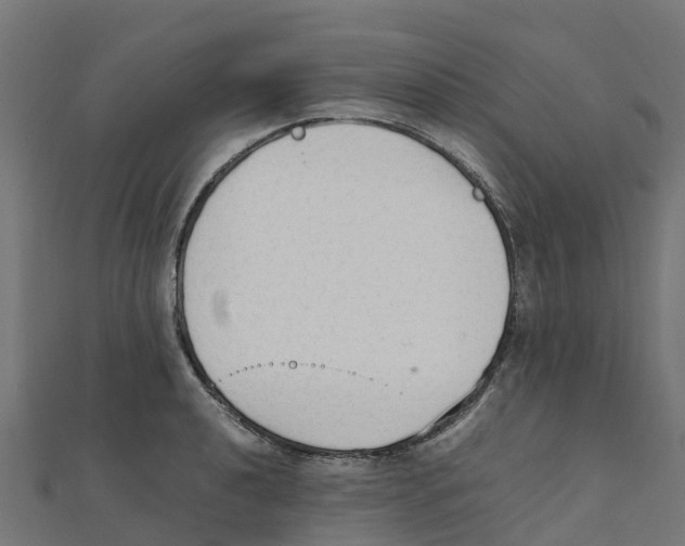 X0000111251040200907301323