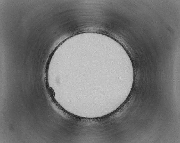 X0000111251042200907301323