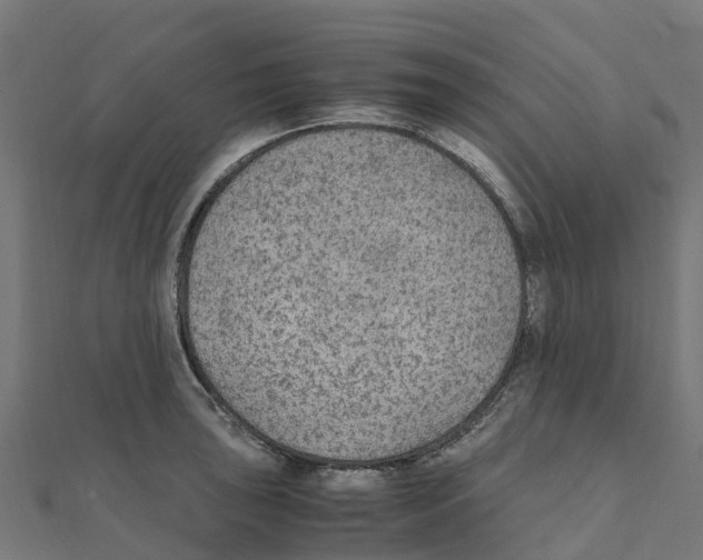 X0000111251043200907301323