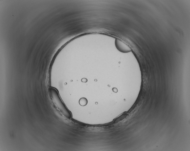 X0000111251044200907301323