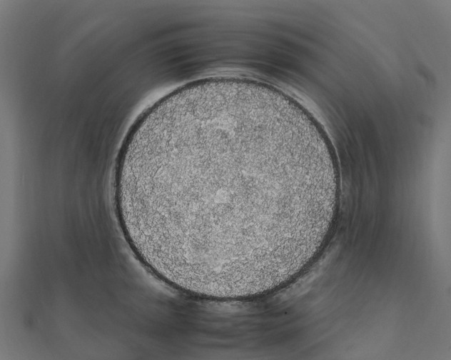 X0000111251045200907301323