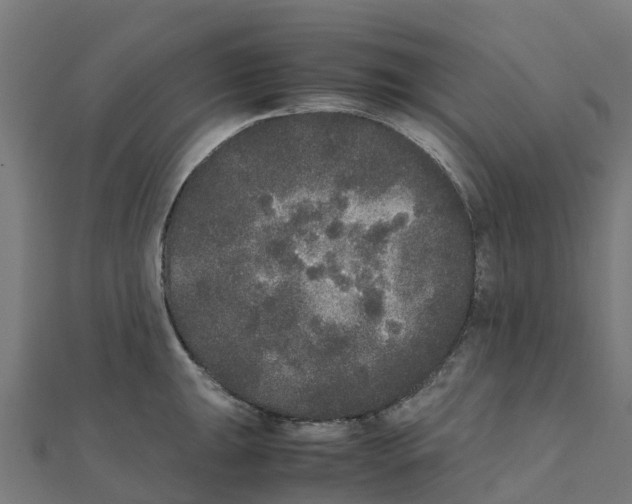 X0000111251047200907301323