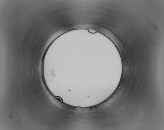 X0000111251050200907301323