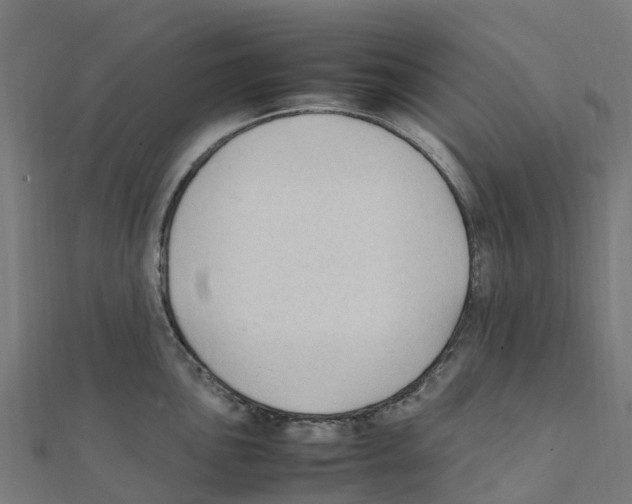 X0000111251051200907301323