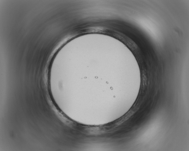 X0000111251054200907301323