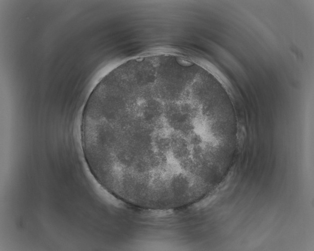 X0000111251055200907301323