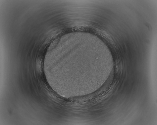 X0000111251060200907301322