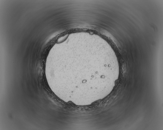 X0000111251064200907301322