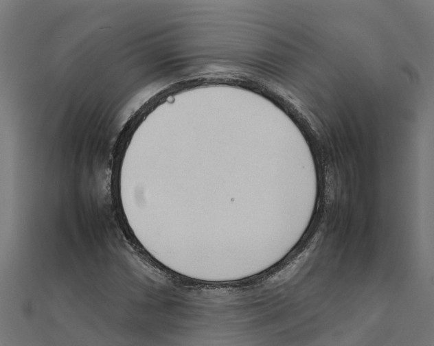 X0000111251066200907301322