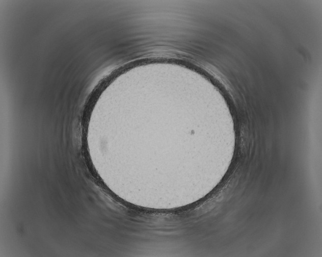 X0000111251067200907301322