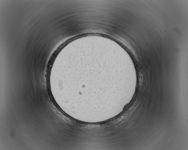 X0000111251068200907301322