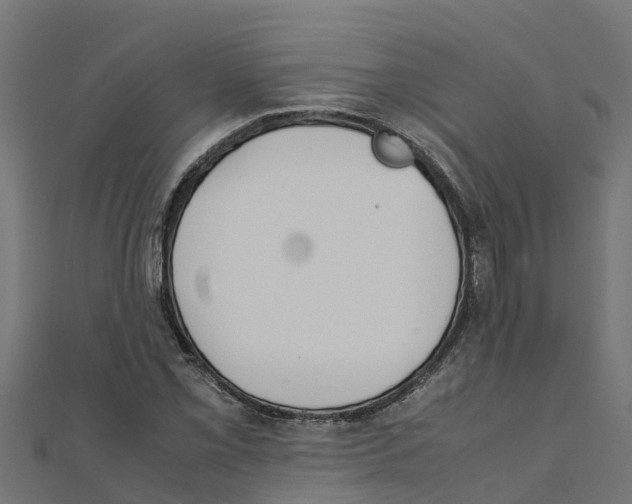 X0000111251069200907301322