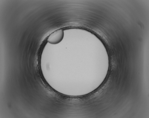 X0000111251070200907301322