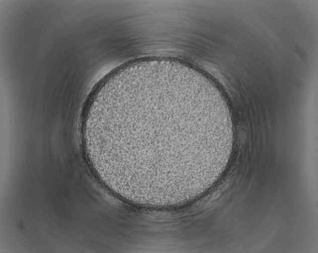 X0000111251071200907301322