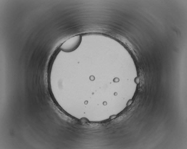 X0000111251072200907301322