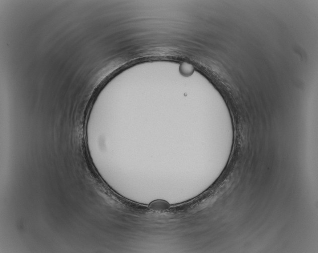 X0000111251073200907301322