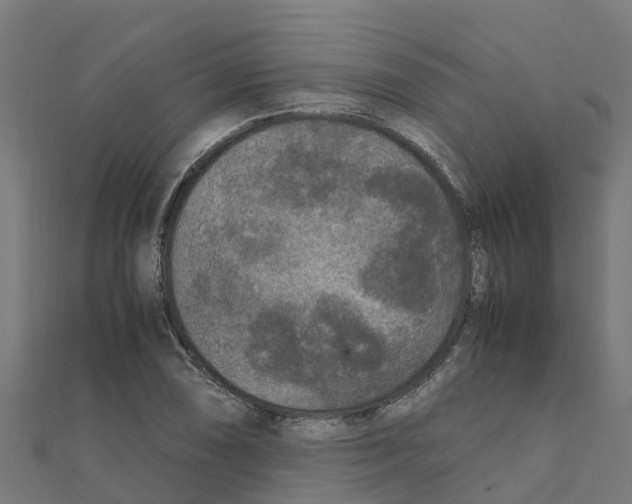 X0000111251074200907301322