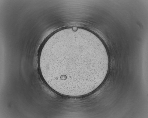 X0000111251075200907301322