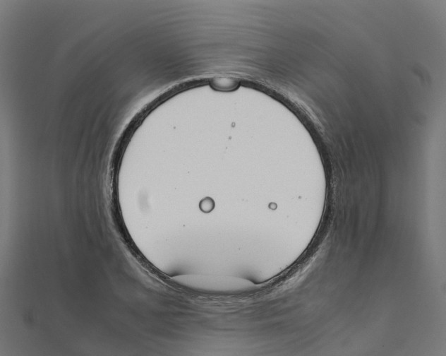 X0000111251077200907301322