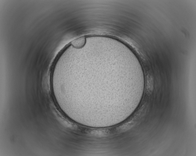 X0000111251078200907301322