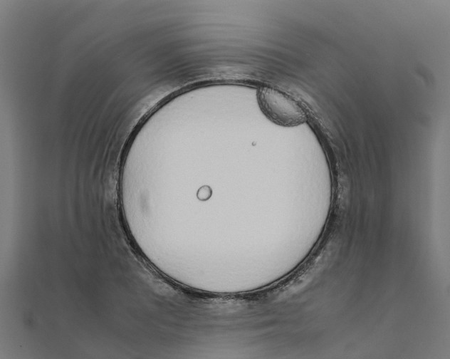 X0000111251081200907301322