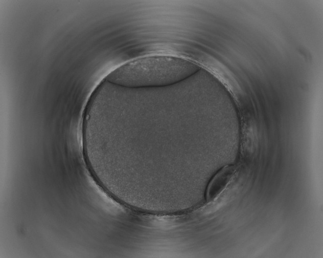 X0000111251084200907301322