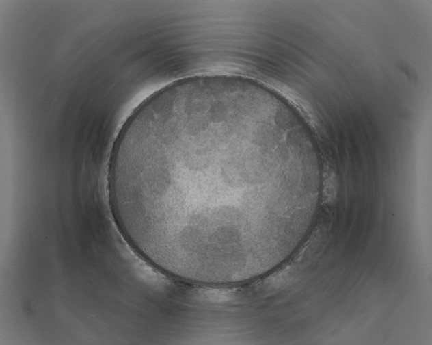 X0000111251086200907301322