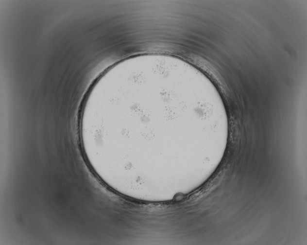 X0000111251087200907301322