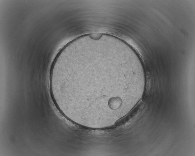 X0000111251088200907301322