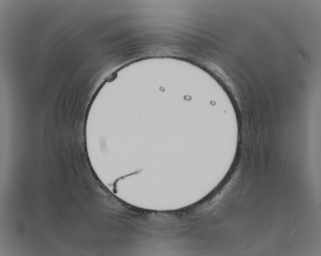 X0000111251089200907301322