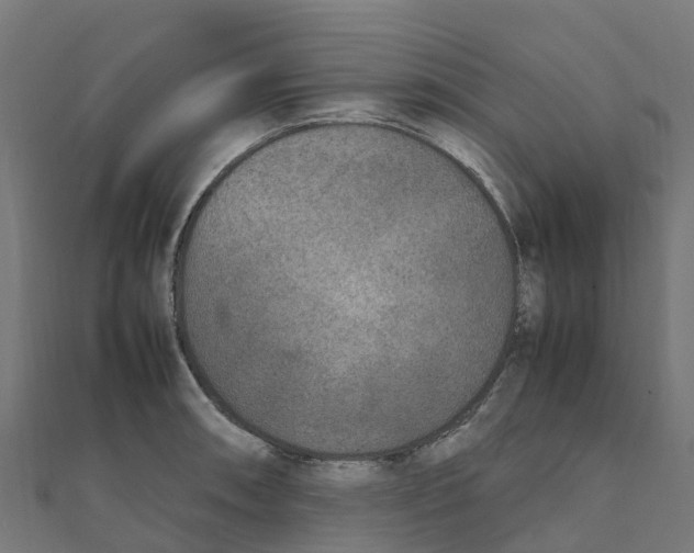 X0000111251090200907301322