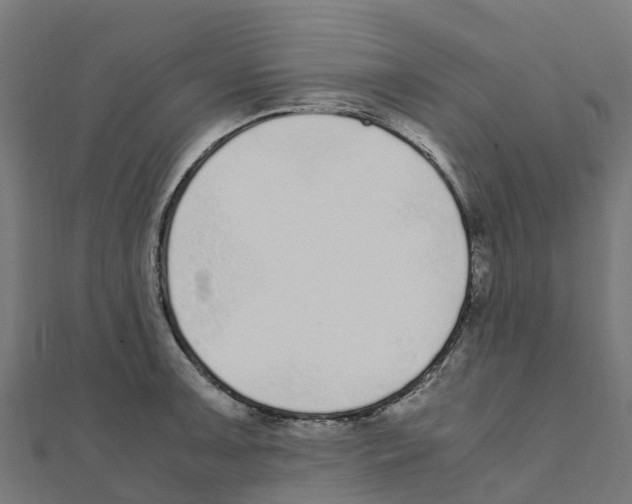 X0000111251091200907301322