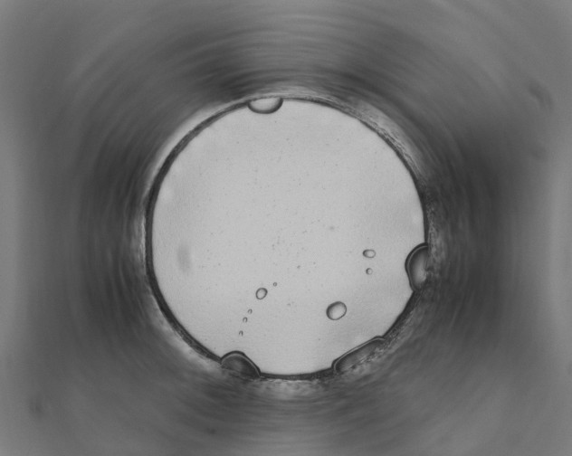 X0000111251092200907301322