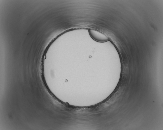 X0000111251093200907301322