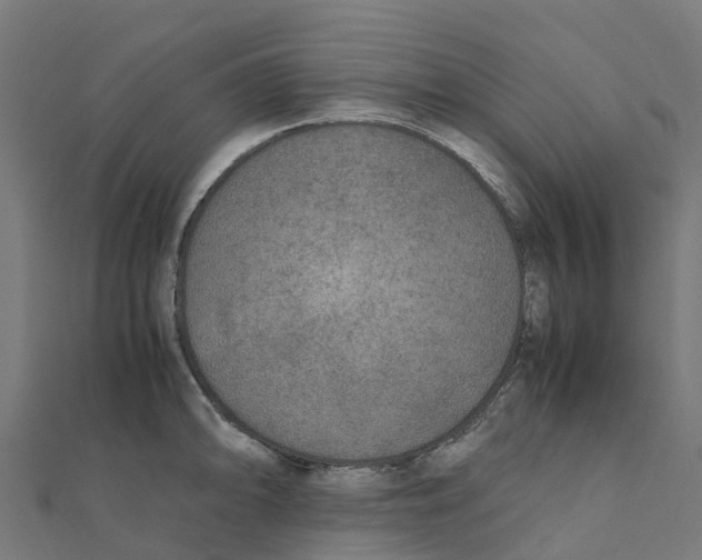 X0000111251094200907301322