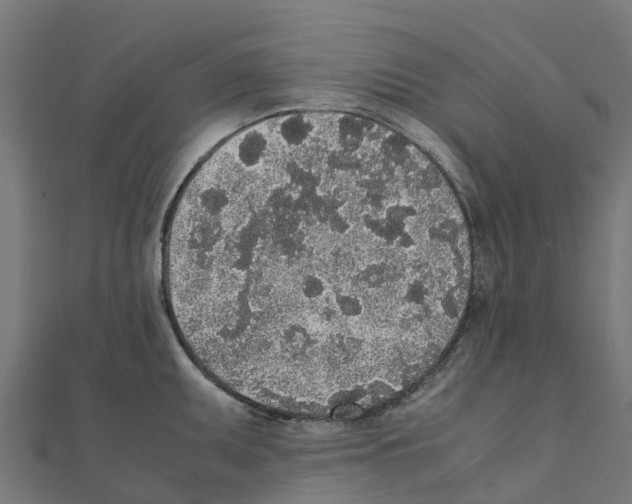 X0000111251095200907301322