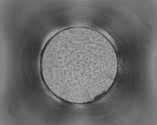 X0000111251096200907301322