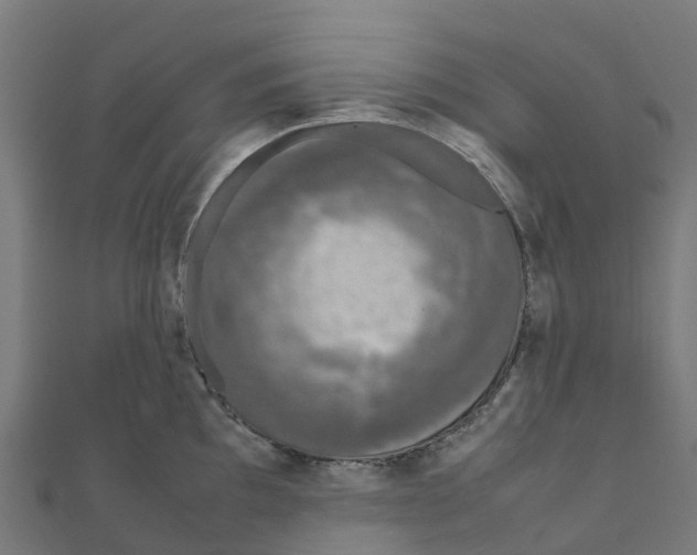 X0000111251097200907301322