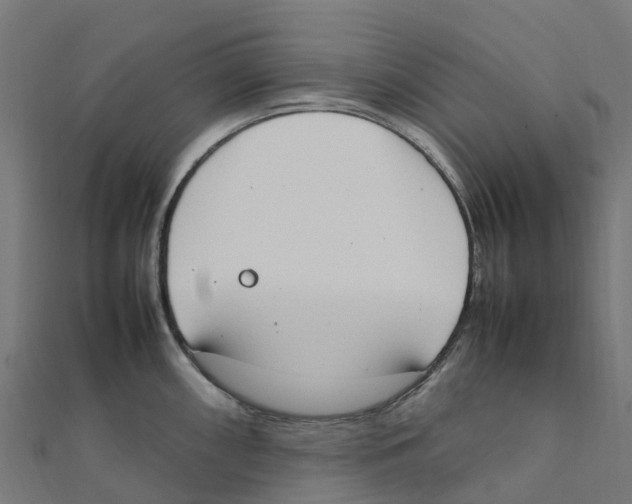 X0000111251098200907301322