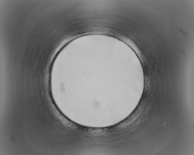 X0000111251099200907301322