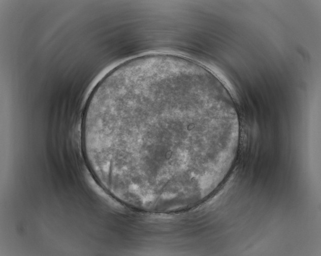 X0000111251100200907301322