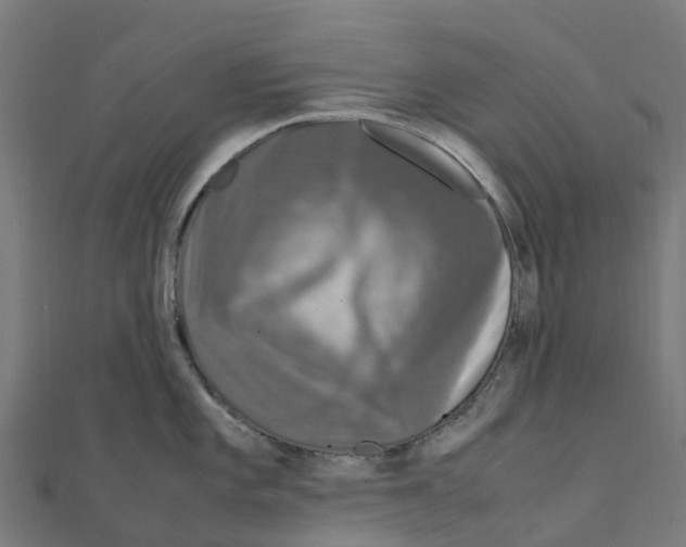 X0000111251101200907301322