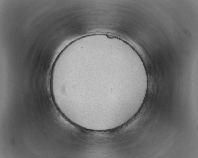 X0000111251102200907301322