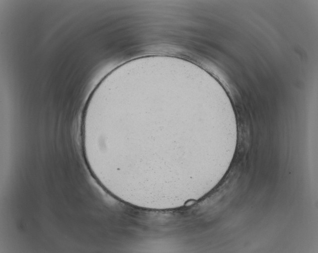 X0000111251103200907301322