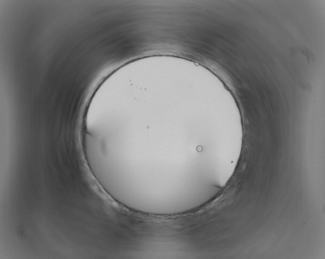 X0000111251104200907301322