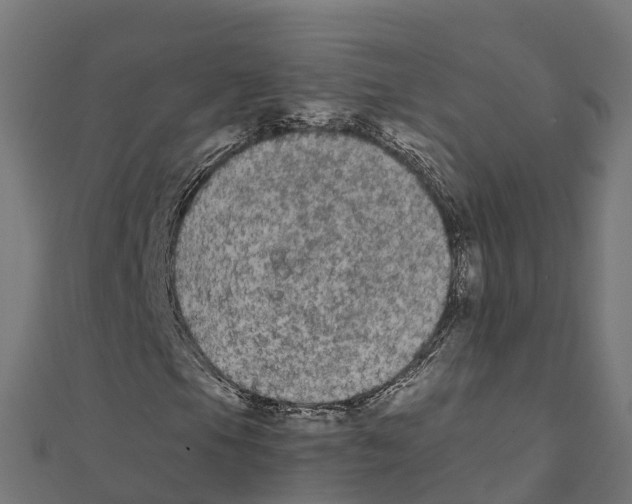 X0000111251105200907301321