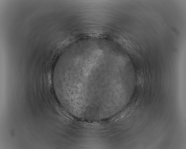 X0000111251106200907301321